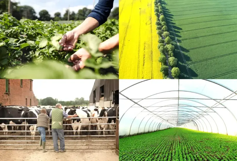 R&D tax credits - The forgotten funding for agriculture – and you may be missing out… | Easy R&D